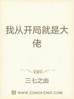 我从开局就是大佬
